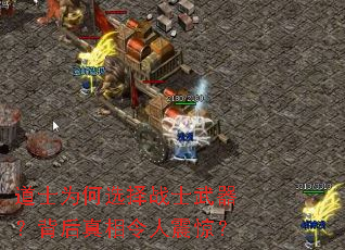 道士为何选择战士武器?背后真相令人震惊? 道士为何选择战士武器?背后真相令人震惊?