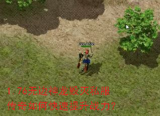 1.76无边神龙毁灭私服传奇如何快速提升战力? 1.76无边神龙毁灭私服传奇如何快速提升战力?