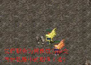 ��ʦְҵΪ���ܳ�Ϊ�б䴫��˽���е�ˢ�����ߣ�