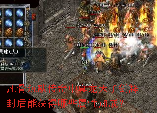 ���ǳ�Ĭ�������������ӽ������ܻ����Щ���Լӳɣ�