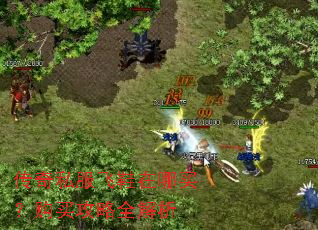 传奇私服飞鞋在哪买?购买攻略全解析 传奇私服飞鞋在哪买?购买攻略全解析