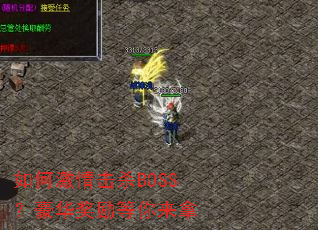 ��μ����ɱBOSS������������������