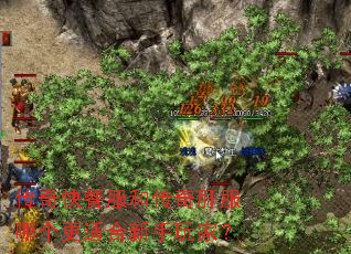 传奇快餐服和传奇肝服哪个更适合新手玩家? 传奇快餐服和传奇肝服哪个更适合新手玩家?