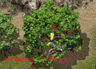 ������ռ��ɣ���ø���ְҵ��