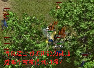 传奇道士的防御能力能通过哪个宝宝得到加强? 传奇道士的防御能力能通过哪个宝宝得到加强?