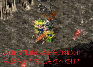 热血传奇里的极品白野猪为什么那么强?它到底难不难打? 热血传奇里的极品白野猪为什么那么强?它到底难不难打?