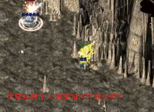 ����˽��������ħ��δ������飿