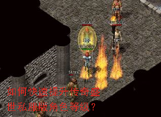 ��ο�����������ʢ��˽�����ɫ�ȼ���