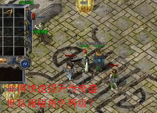 ��ο�����������ʢ��˽�����ɫ�ȼ���