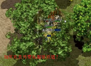 ��ι��˴���˽����������