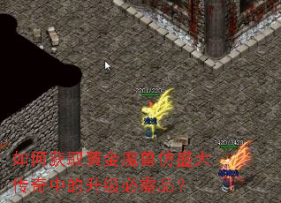 ��λ�ȡ�ƽ�ħ�޷�ʢ�����е���������Ʒ��