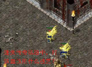 迷失传奇私服中,打铁血该用什么技艺? 迷失传奇私服中,打铁血该用什么技艺?