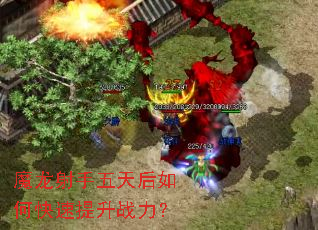 ħ�������������ο�������ս����