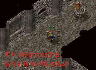 ��Щ��ͼ��BOSS�ǵ�ְҵ˽���б�ˢ����ս��