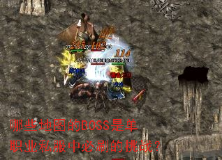 ��Щ��ͼ��BOSS�ǵ�ְҵ˽���б�ˢ����ս��