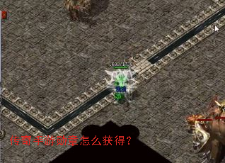 ��������ѫ����ô��ã�