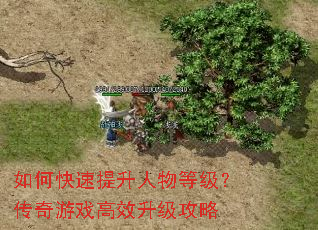 如何快速提升人物等级?传奇游戏高效升级攻略 如何快速提升人物等级?传奇游戏高效升级攻略