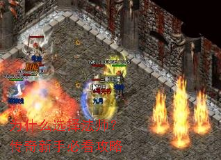 Ϊʲôѡ��ʦ���������ֱؿ�����