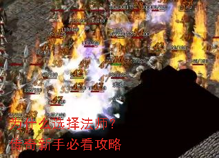 Ϊʲôѡ��ʦ���������ֱؿ�����