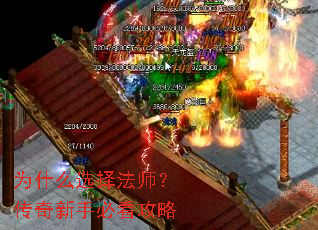 Ϊʲôѡ��ʦ���������ֱؿ�����