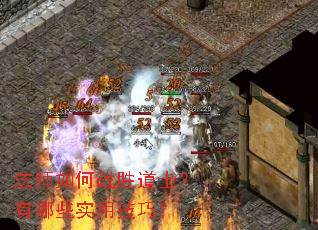 ��ʦ���սʤ��ʿ������Щʵ�ü��ɣ�