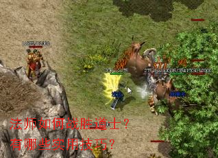 ��ʦ���սʤ��ʿ������Щʵ�ü��ɣ�