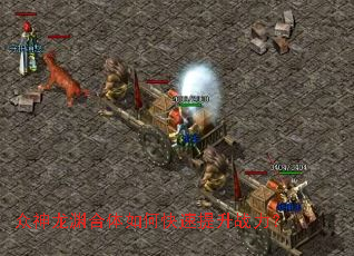 ������Ԩ������ο�������ս����