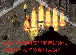 纯爷们传奇游戏里麻痹弑神戒指是打什么怪物爆出来的? 纯爷们传奇游戏里麻痹弑神戒指是打什么怪物爆出来的?