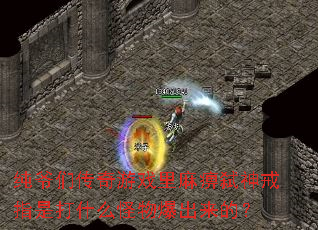 纯爷们传奇游戏里麻痹弑神戒指是打什么怪物爆出来的? 纯爷们传奇游戏里麻痹弑神戒指是打什么怪物爆出来的?