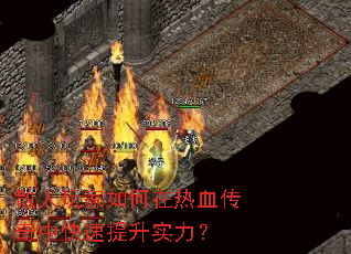 ɢ������������Ѫ�����п�������ʵ����