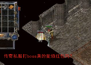 ����˽����boss�����������