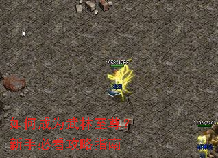 ��γ�Ϊ�����������ֱؿ�����ָ��