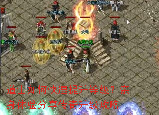 ��ʿ��ο��������ȼ��������������������������