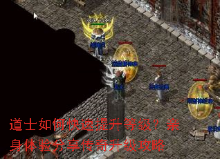 ��ʿ��ο��������ȼ��������������������������