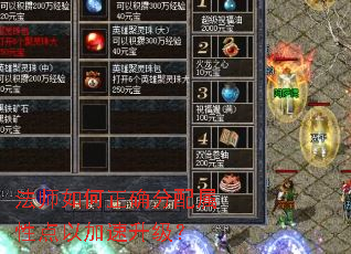 法师如何正确分配属性点以加速升级? 法师如何正确分配属性点以加速升级?