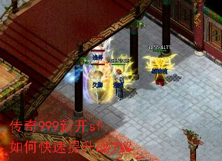 ����999�¿�sf��ο�������ս����