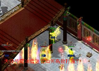 ���������ѩ�Թ���θ�Ч�򱦣�