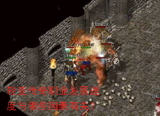 ��䴫��ְҵ��չ�ٶ�����Щ�����йأ�