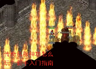 ����˽������ô�棿��������ָ��