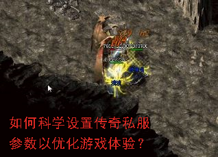 ��ο�ѧ���ô���˽���������Ż���Ϸ���飿