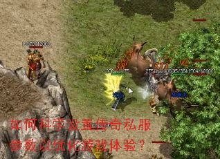 ��ο�ѧ���ô���˽���������Ż���Ϸ���飿