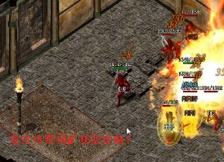 ���Ŵ���ͭ���ȡ���ԣ�