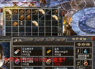 �����ʿ�����Ч����սʿ��