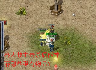 ���˽�����ɱ���ܵ�����Щϡ����Ʒ��