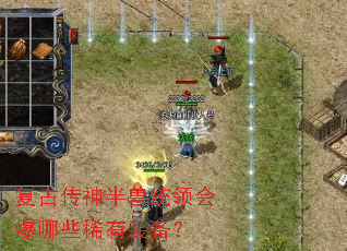 复古传神半兽统领会爆哪些稀有装备? 复古传神半兽统领会爆哪些稀有装备?