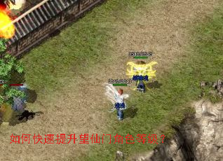 ��ο������������Ž�ɫ�ȼ���