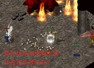 �ǻ��������������ҹ����Ч������