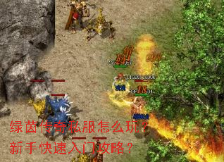 绿茵传奇私服怎么玩?新手快速入门攻略? 绿茵传奇私服怎么玩?新手快速入门攻略?