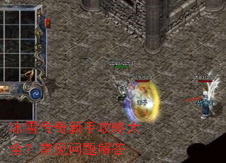 ��ѩ�������ֹ��Դ�ȫ������������