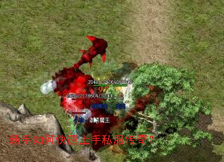 新手如何快速上手私服传奇? 新手如何快速上手私服传奇?